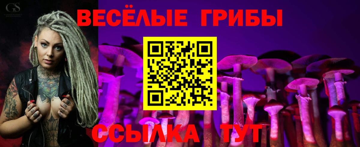 Псилоцибиновые грибы GOLDEN TEACHER  Вход с VPN  Свободный 
